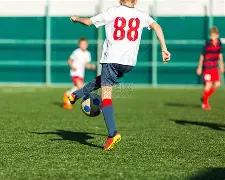 郭晶晶辅导,子女作业心,情不佳,美高梅(MGM)最新官方网站,美高梅,(1888-MGM认证),美高梅mgm1888,美高梅mgm最新登录入口